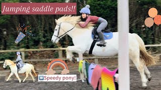 JUMPING SADDLE PADS WAS LUNA GOOD Very speedy [upl. by Munt]