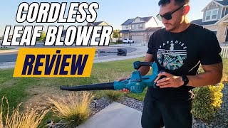 Cordless Leaf Blower Review 🍃  2x20V Battery 2 Speed Levels for Lawn Care amp Snow Blowing [upl. by Ramberg]