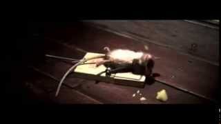 Hilarious Cheese Commercial Gym Mouse [upl. by Hartill]