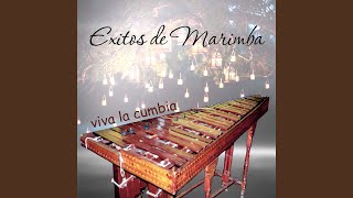 Popurri Marimbas [upl. by D'Arcy]