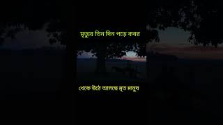 মৃত্যুর তিন দিন পরে কবর থেকে উঠে আসছে মৃত মানুষ Boalmacherjhol adhunikbanglahotel viralshort [upl. by Arraik]