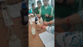 Preparation of Tollens reagent chemistry  Class 12th Chemistry practical [upl. by Annayad]