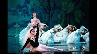 Giselle Ballet  Full Performance  Live Ballet [upl. by Nnyla837]