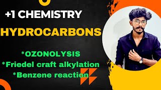 Plus one Chemistry Hydrocarbon  Ozonolysis Friedel craft reaction [upl. by Salter]