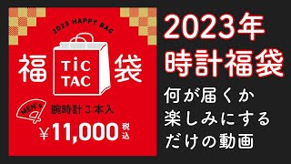 【2023年】腕時計福袋が届く前にwktkする動画！内容予想【TicTacメンズ1万円】 [upl. by Renzo46]