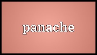 Panache Meaning [upl. by Clorinda]