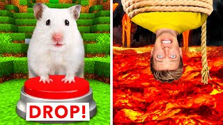 Hamster Maze vs Human Traps 🐹 World’s Most Extreme Elimination Game Last To Survive Minecraft Wins [upl. by Eclud699]