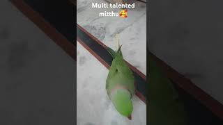 The parrot is making the sound of a wrapper😂😂😘 parrot superbparrot [upl. by Chema]