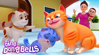 म्याऊं म्याऊं बिल्ली करती  Meow Meow Billi Karti v2  Hindi Rhymes for Children  Ding Dong Bells [upl. by Lleznol580]