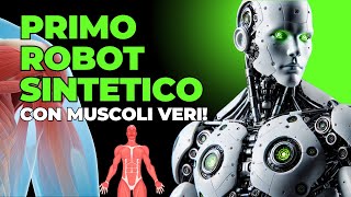 Primo Robot Umanoide Sintetico Con Muscoli Veri Androide Torso [upl. by Baudoin678]