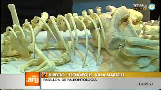 Vivo en Arg  Tecnópolis  Paleontología  180913 1 de 2 [upl. by Gemma132]