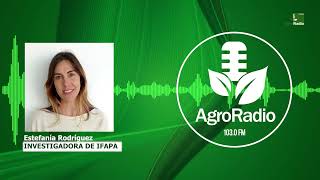 Entrevista  Estefanía Rodríguez investigadora de IFAPA [upl. by Egag]