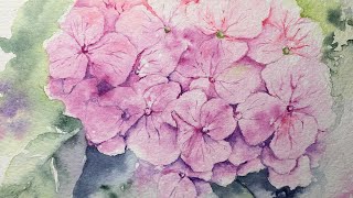 Watercolor pink hydrangea paint along tutorial demo [upl. by Kenon]