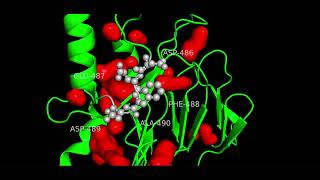 PyMol structure Test [upl. by Llennor828]