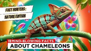 10 MindBlowing Facts About Chameleons naturefacts chameleons reptiles [upl. by Sibby4]