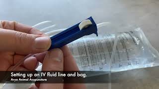 How to Set Up an Intravenous IV Fluid Bag For Your Pet At Home [upl. by Amrita]