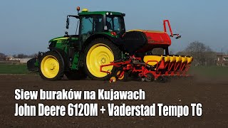 John Deere 6120M  Vaderstad Tempo T6  siew buraków na Kujawach [upl. by Fleeta508]