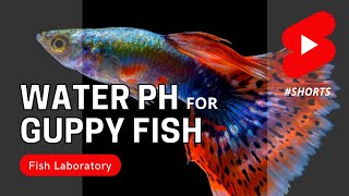 Water pH for Guppy Fish shorts [upl. by Eojyllib278]