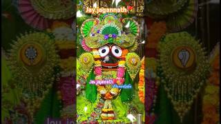 Kartik puria special status  New jagannath bhajana  New 4k video jagannathwhatsupst status [upl. by Eniksre]