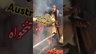 Australia Burger job Festival work Salary visa travel studyvisa canadavisa italy ukvisa [upl. by Ahs]