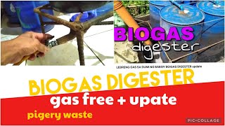 biogas digester  update lebreng gas sa pigery [upl. by Eicnahc]