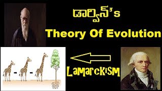 Darwins Theory of Evolution  Natural selection  Lamarckism  Telugu [upl. by Nonah]