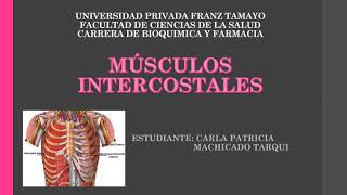 MÚSCULOS INTERCOSTALES EXTERNO INTERNO E ÍNTIMO [upl. by Franzoni339]