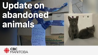 Winnipeg Humane Society update on 10 abandoned animals [upl. by Nap]