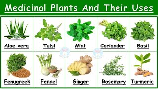 Medicinal Plants And Their Uses  25 Ayurvedic Plants Names  Medicinal Herbs  औषधीय पौधे  Plants [upl. by Assiran]