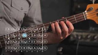 How to Play G ♯  A Flat Major Scale  Bass Guitar [upl. by Enedan]