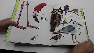 Birds by Kevin Henkes Illustrated by Laura Dronzek [upl. by Maure]