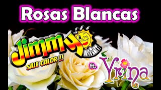 Rosas Blancas  Jimmy Sale Calor [upl. by Eberhard]