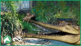 Gharial Indoor Habitat  Elm Hill City Zoo  Planet Zoo [upl. by Chiles]