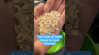 🐓🌾 Let’s Cook up Some Grains for your Chickens chickens chickenfood [upl. by Enytnoel480]