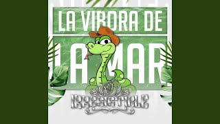 La Vibora De La Mar Versión Huapango [upl. by Pitarys]