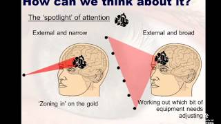 Concentration and focus in Sport and Performance Psychology [upl. by Attenrad]