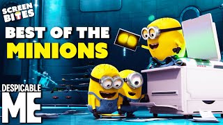 The Best Of The Minions  Minions 2015 amp Despicable Me 2010  Screen Bites [upl. by Hsilgne]