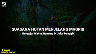 Pendakian GUNUNG LAWU via SINGOLANGU Suasana Hutan Lumut 3 [upl. by Thea359]