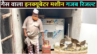 गैस वाला इनक्यूबेटर मशीन Egg Incubator Machine।All Types Eggs Incubators Prices [upl. by Annim395]