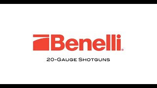 Benelli 20Gauge Shotguns Review [upl. by Livesay924]