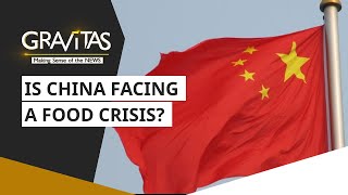 Gravitas Is China running out of food [upl. by Eilahtan]