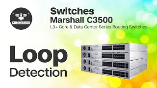 Loopback Detection Configuration  COMMANDO C3500 Series L3 Core and Data Center Routing Switches [upl. by Neitsabes]