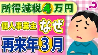 【本当に酷い】詳細判明！定額減税4万円､会社員は年跨ぎ｡個人事業主は再来年3月が多数｡ふるさと納税･住宅ローン控除は【年金所得制限住民税･給付金いつからわかりやすく解説岸田内閣】 [upl. by Sumner]