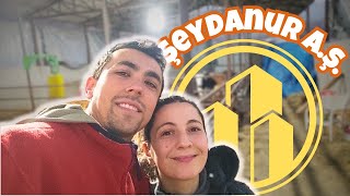 Şirket Kuruyoruz  Şahıs Şirketi Nedir  Köy Vlog [upl. by Hildagarde]