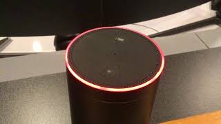 AmaZon Alexa Having Trouble Understanding Right Now 022019 [upl. by Tray824]