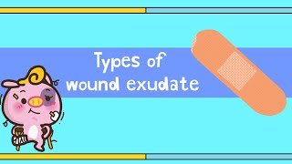 Types of wound exudate [upl. by Ethbin]