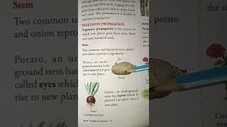 vegetative propagation class 5  video on vegetative propagation for class 5 science chapter 6 [upl. by Ermanno582]