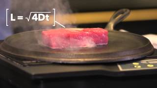 HarvardX Science amp Cooking Meat [upl. by Huston]