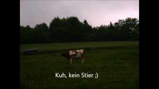 So wie ein wilder Stier Lied [upl. by Winona]