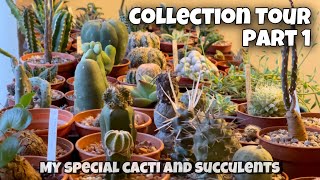 Cactus and Succulent Collection Tour Part 1  My Special and Favourite Cacti and Succulents Plant [upl. by Magulac]